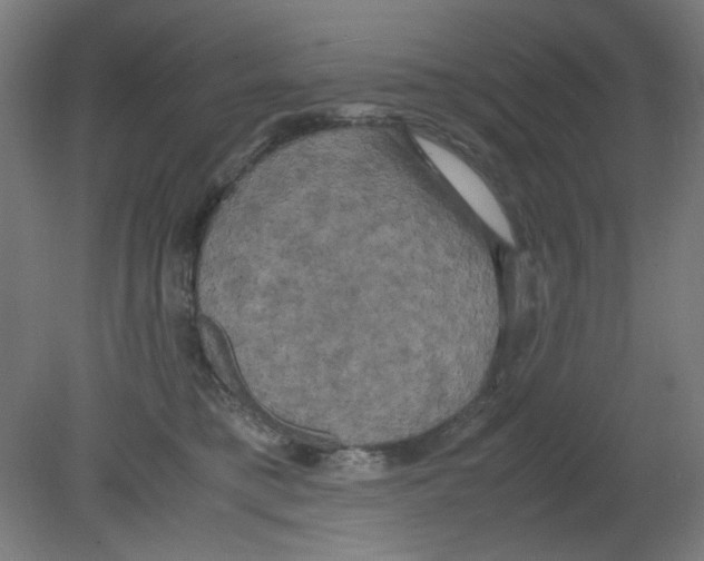 X0000080760421200701122034