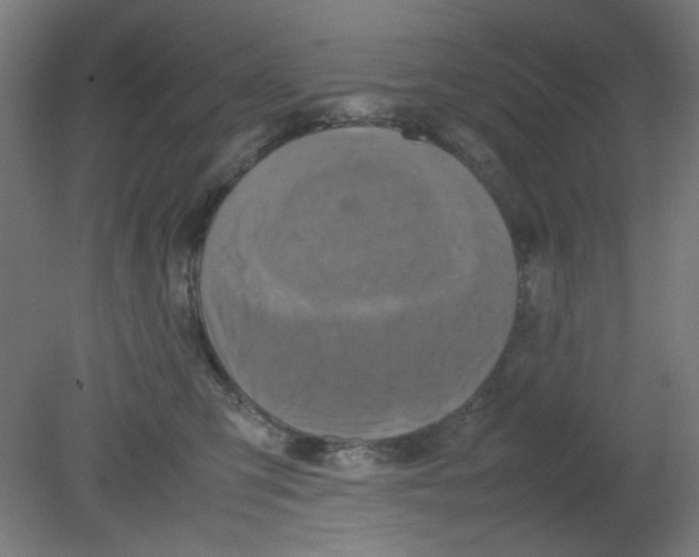 X0000080760423200701122034