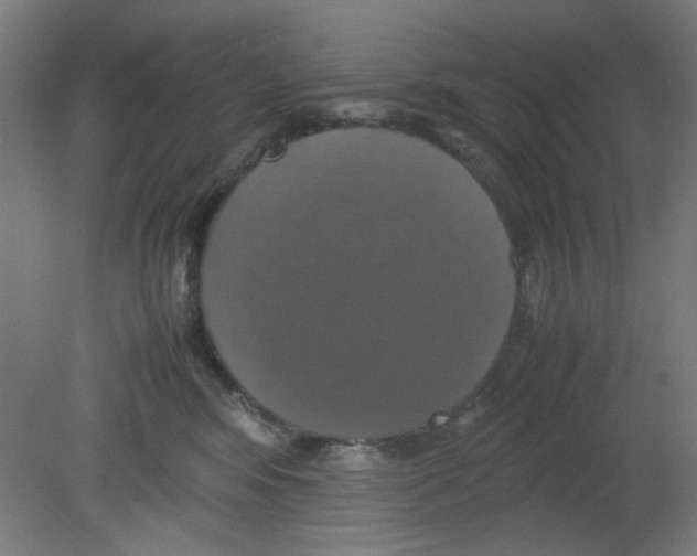 X0000080760424200701122034