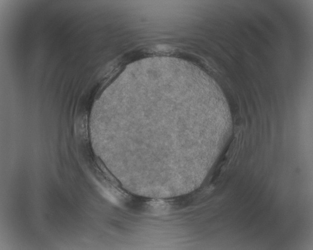 X0000080760425200701122034