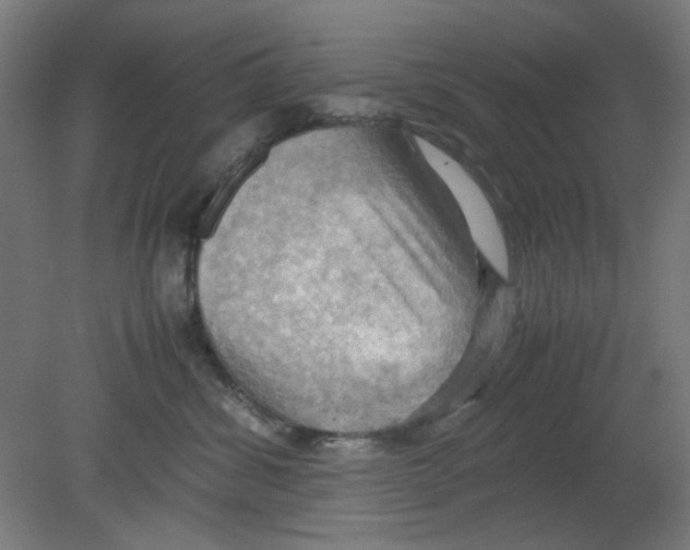 X0000080760428200701122034