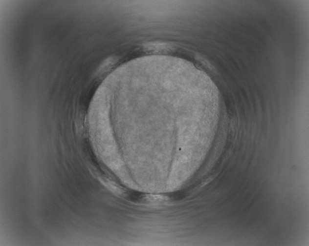 X0000080760429200701122034