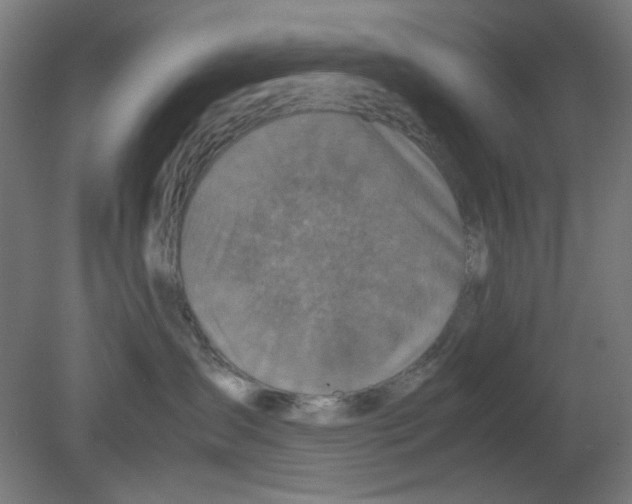 X0000080760431200701122034