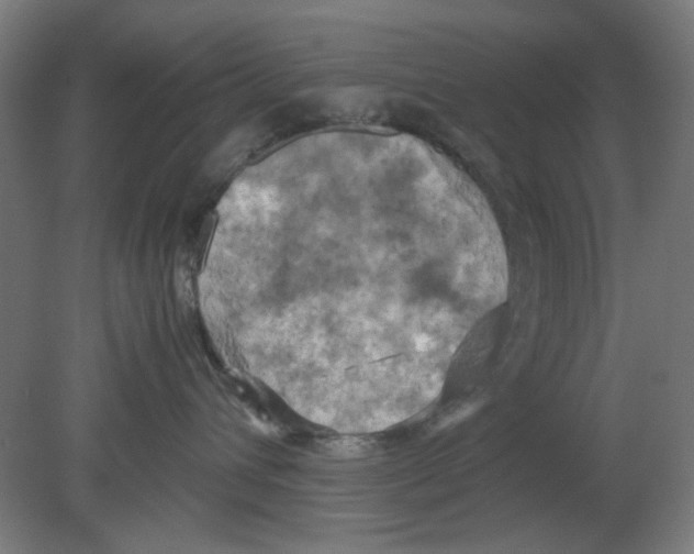 X0000080760432200701122034
