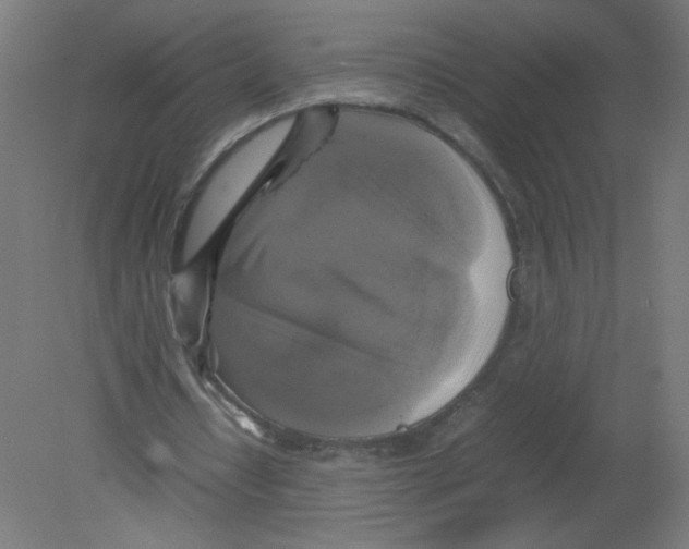 X0000080760434200701122033