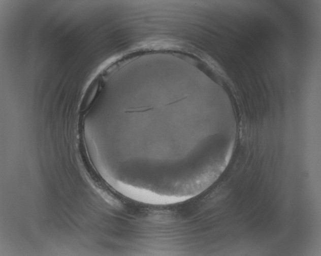 X0000080760438200701122033