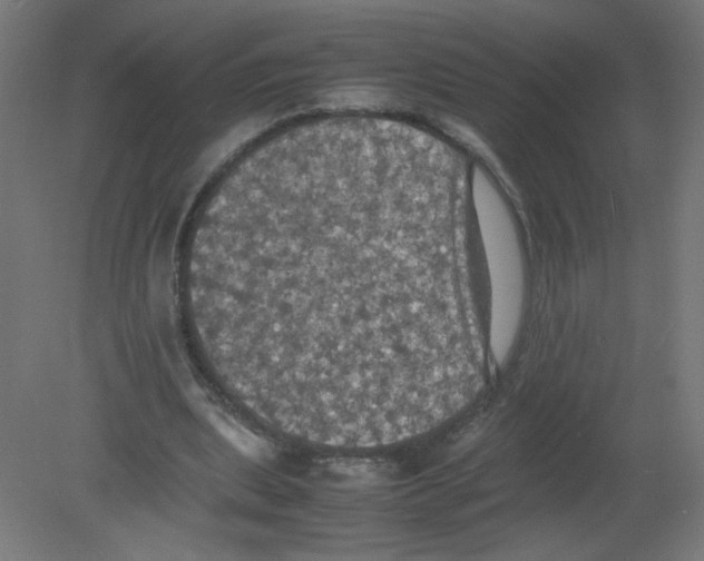 X0000080760439200701122033