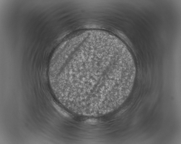 X0000080760441200701122033