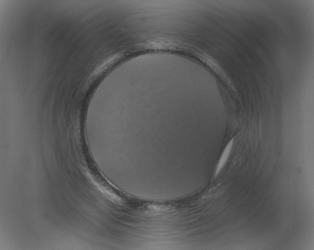 X0000080760442200701122033