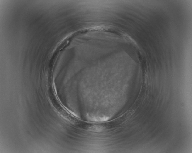 X0000080760444200701122033