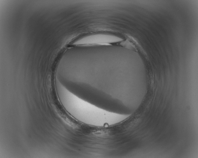 X0000080760447200701122033