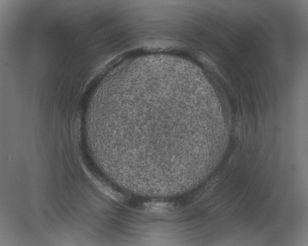 X0000080760448200701122033