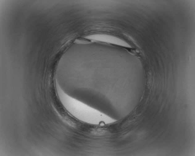 X0000080760451200701122033