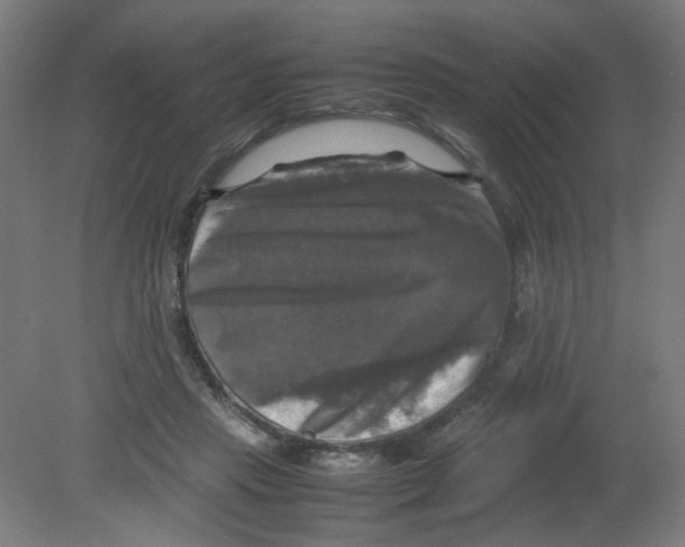 X0000080760453200701122033