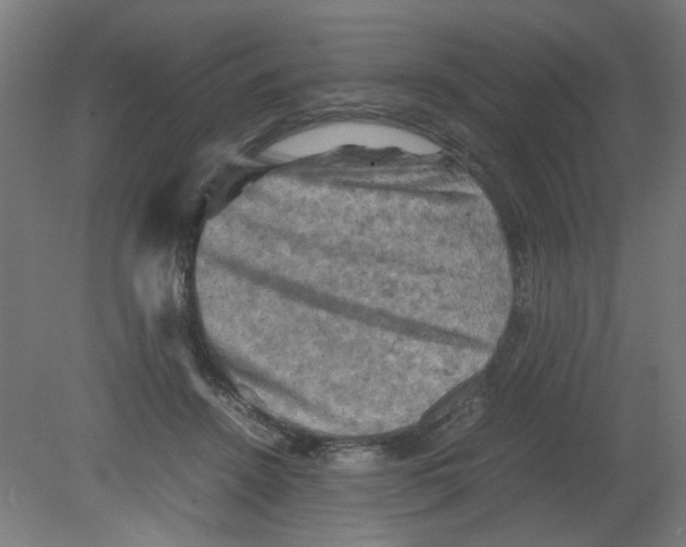 X0000080760456200701122034