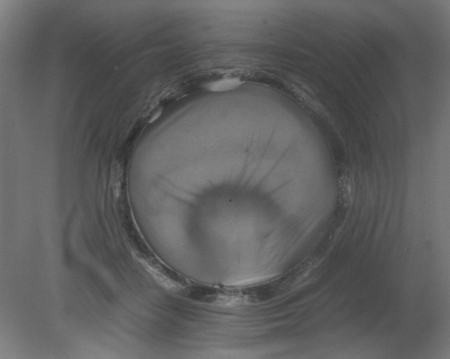 X0000080760458200701122034