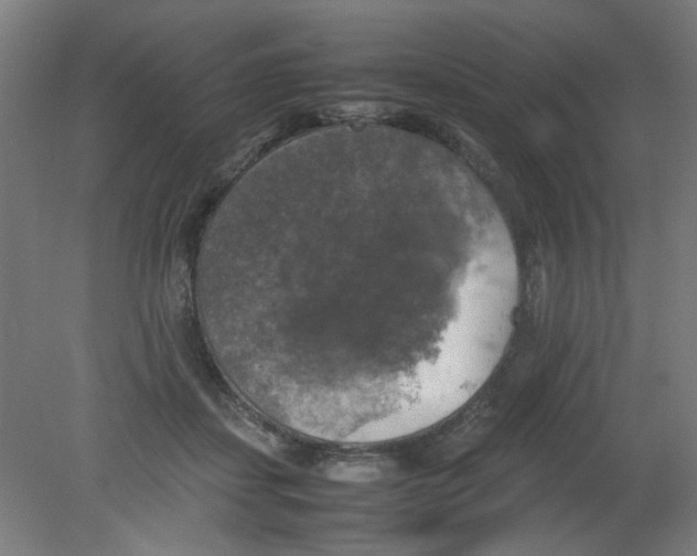 X0000080760459200701122034