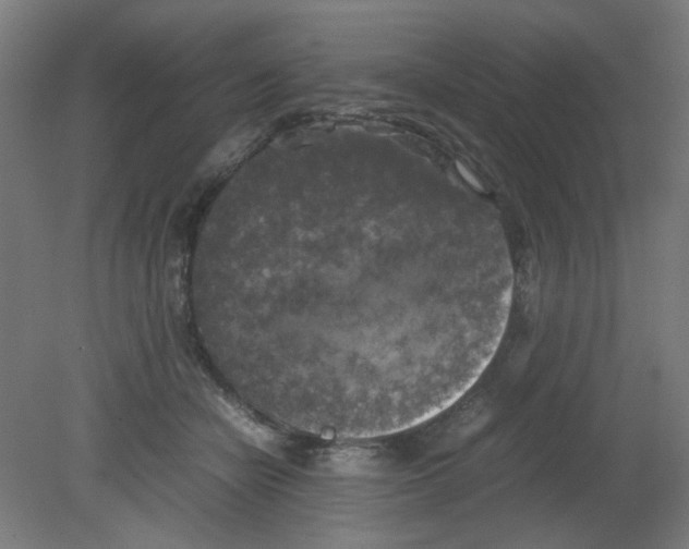 X0000080760462200701122034
