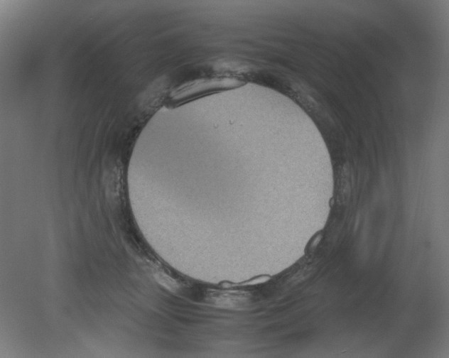 X0000080760463200701122034