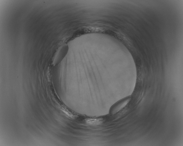 X0000080760465200701122034