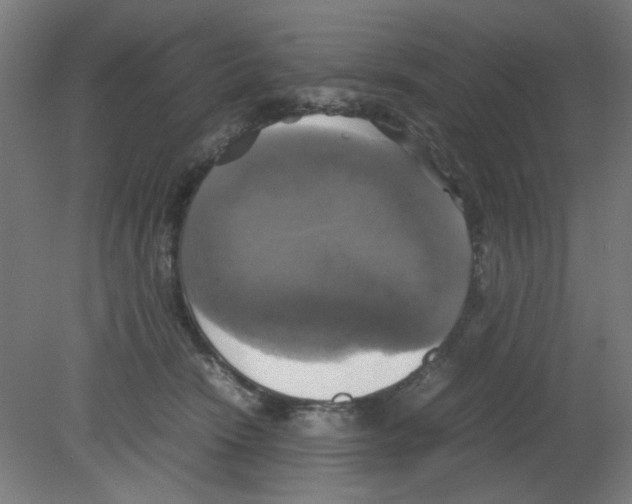 X0000080760466200701122034
