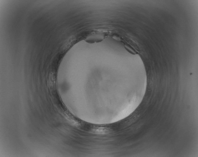 X0000080760467200701122034