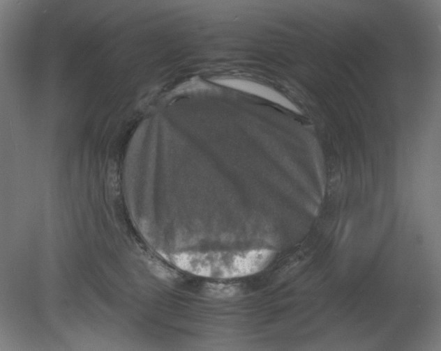 X0000080760469200701122034