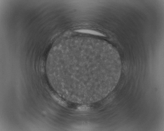 X0000080760470200701122034