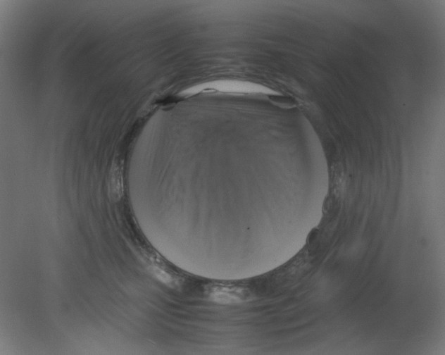 X0000080760471200701122034