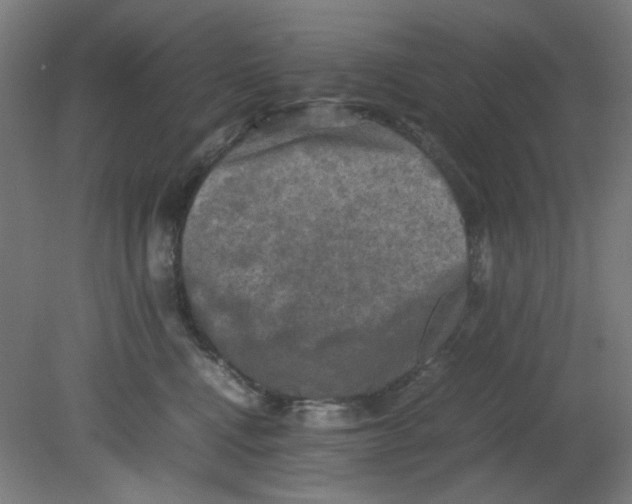 X0000080760472200701122034
