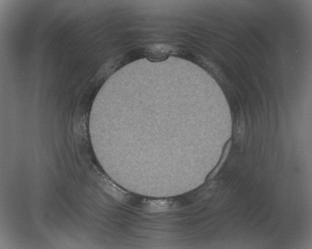 X0000080760473200701122034