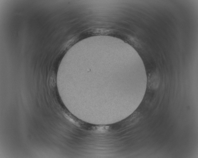X0000080760474200701122034