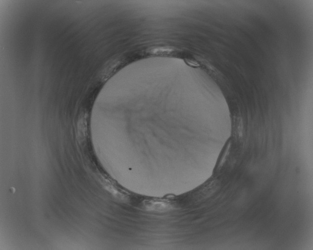 X0000080760475200701122034