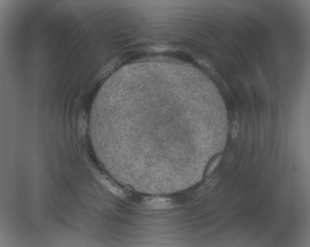 X0000080760476200701122034