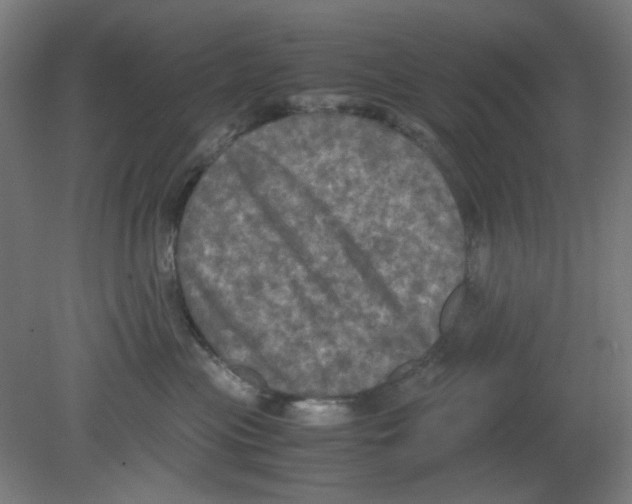 X0000080760477200701122034