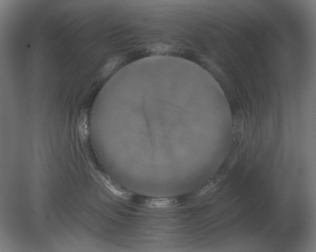 X0000080760479200701122034