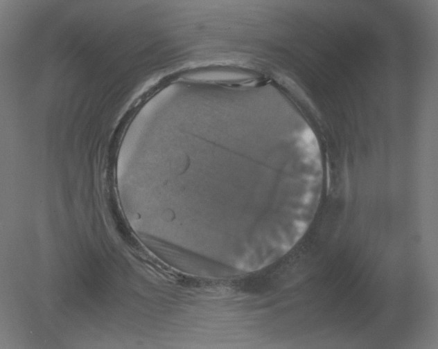 X0000080760483200701122033