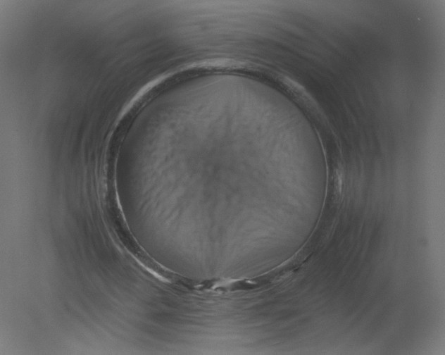 X0000080760484200701122033