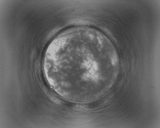 X0000080760487200701122033