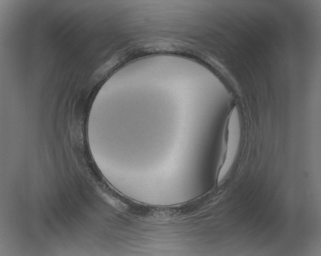 X0000080760489200701122033