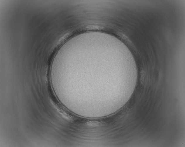 X0000080760490200701122033