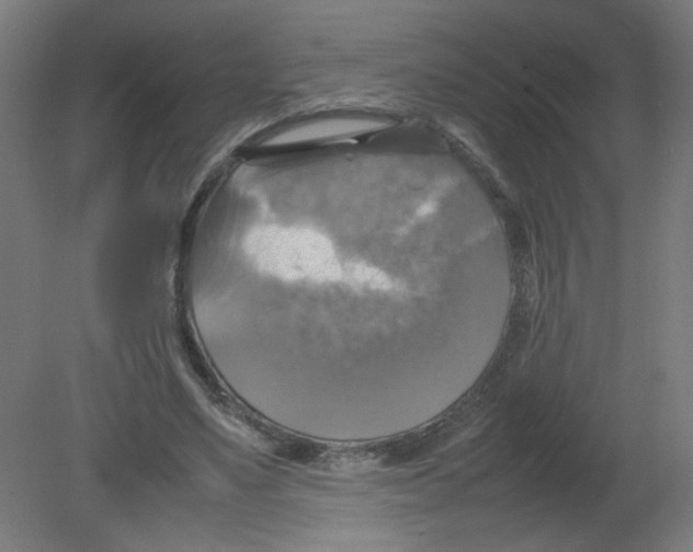 X0000080760491200701122033