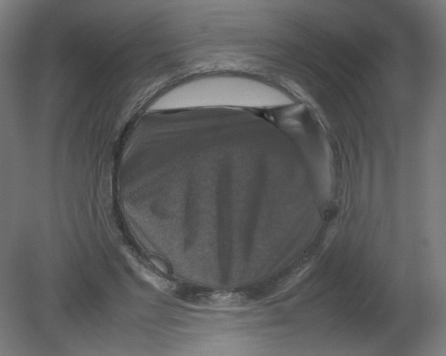 X0000080760493200701122033