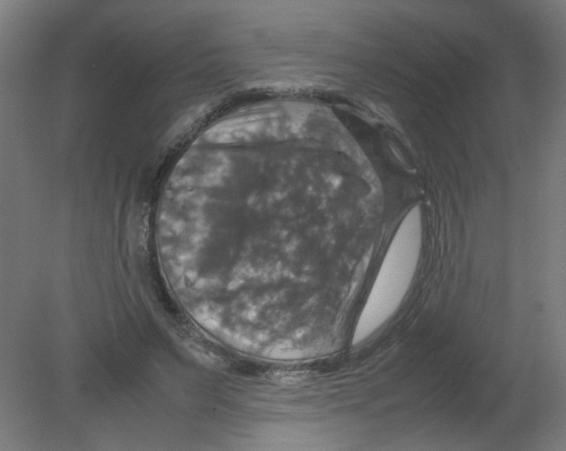 X0000080760495200701122033