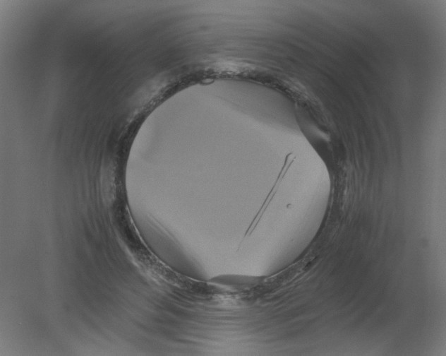 X0000080760496200701122033