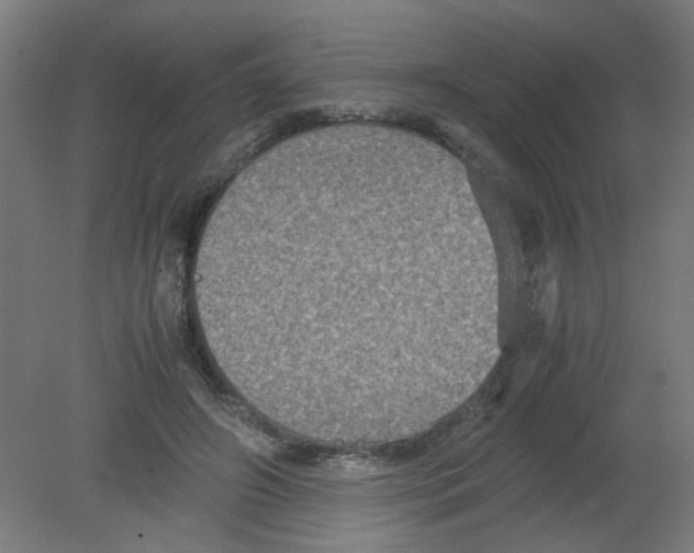 X0000080760498200701122033
