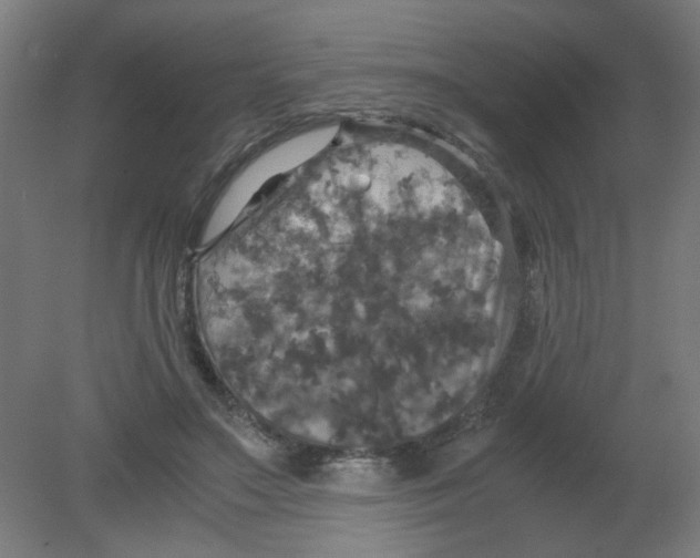 X0000080760499200701122033