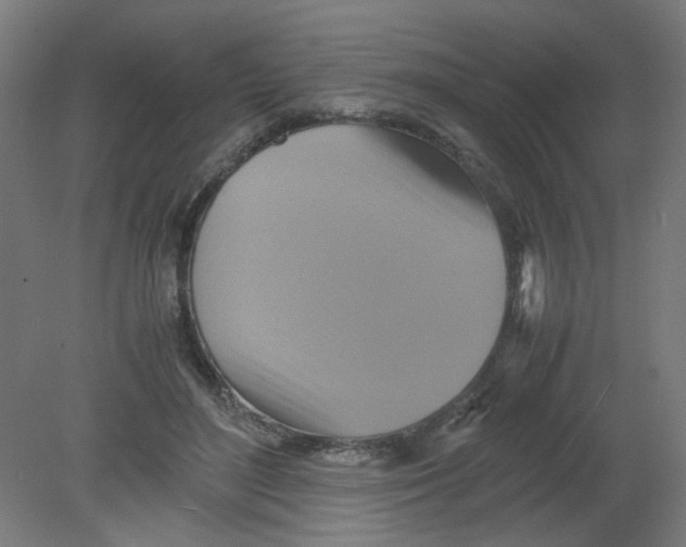 X0000080760500200701122033