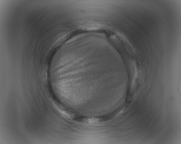 X0000080760501200701122033