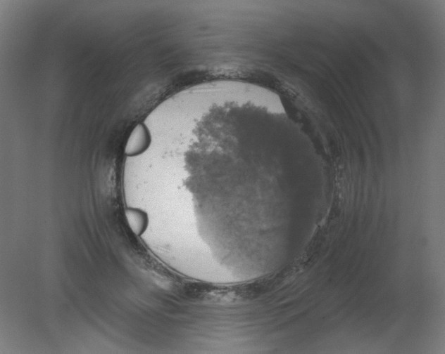X0000080760502200701122033